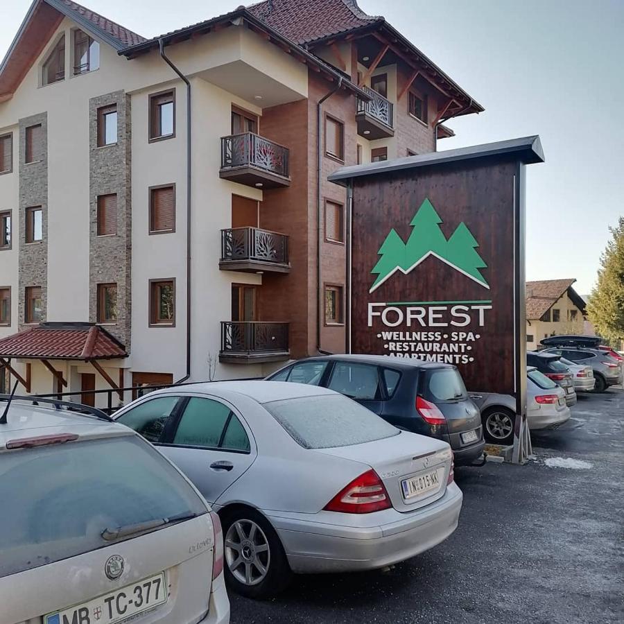 Forest Andrijana Златибор Экстерьер фото
